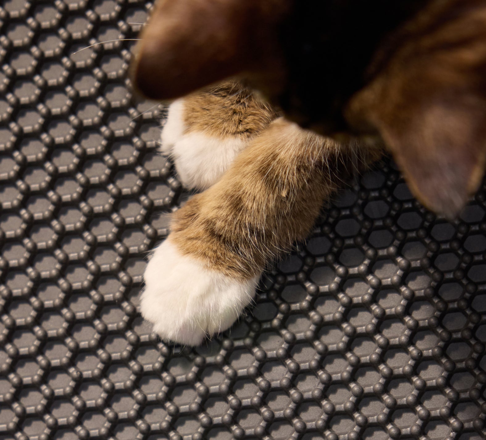 PDP-Litter_Trapping_Mat-Overview-PC-02_6d527dfd-4bee-495c-94df-26271f744b42.jpg