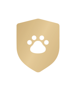 Petlibro Care - Care Plus