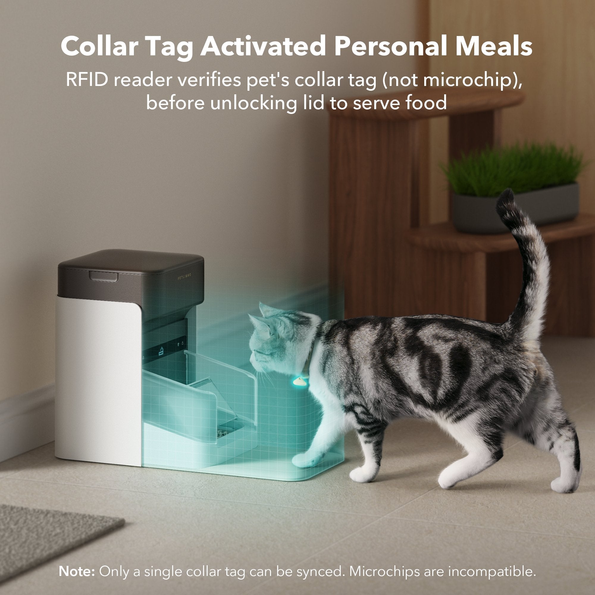 one-rfid-pet-feeder-437786.jpg