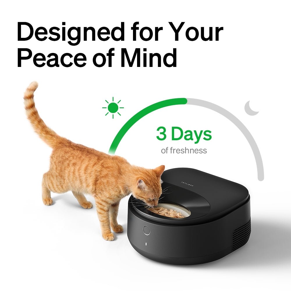 polar-wet-food-feeder-rfid-smart-fountain-bundle-271333.jpg