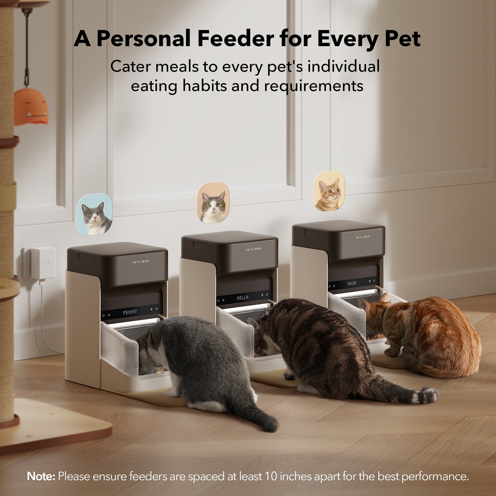 rfid-smart-feeder-cordless-fountain-bundle-230140.jpg